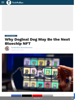 Why Doginal Dog May Be the Next Bluechip NFT - TechBullion