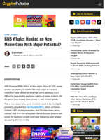 BNB Whales Hooked on New Meme Coin With Major Potential?