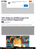 137% Shiba Inu (SHIB) Surge in 24 Hours: What's Happening?