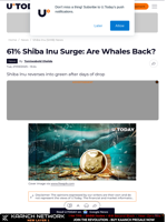 61% Shiba Inu Surge: Are Whales Back?