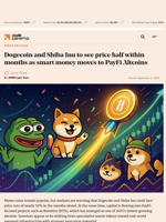 Dogecoin and Shiba Inu to see price half within months as smart money moves to PayFi Altcoins - AMBCrypto