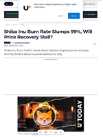 Shiba Inu Burn Rate Slumps 99%, Will Price Recovery Stall? - U.Today