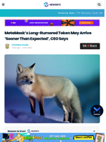 MetaMask’s Long-Rumored Token May Arrive Sooner Than Expected, CEO Says
