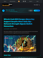 Bitcoin Cash BCH Surges Above Key Support Despite Minor Daily Dip - Network Strength Signals Bullish Momentum - Blockchain.News