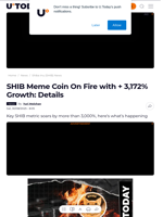 SHIB Meme Coin On Fire with + 3,172% Growth: Details - U.Today