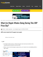 What Are Ripple Whales Doing During This XRP Price Dip?