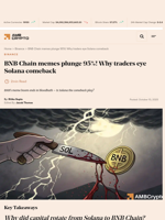 BNB Chain memes plunge 95%! Why traders eye Solana comeback - AMBCrypto