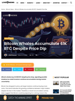 Bitcoin Whales Accumulate 61K BTC Despite Price Dip | Live Bitcoin News