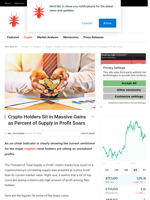 Crypto Holders Sit in Massive Gains as Percent of Supply in Profit Soars - NullTX