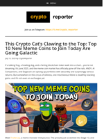 This Crypto Cat’s Clawing to the Top: Top 10 New Meme Coins to Join Today Are Going Galactic