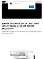 'Bitcoin Still Down 25% vs Gold': Schiff Calls Recovery Dead Cat Bounce - U.Today