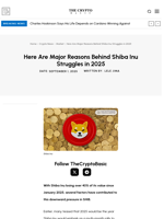 Here Are Major Reasons Behind Shiba Inu Struggles in 2025