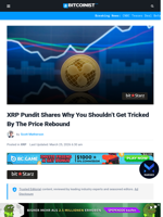 XRP Pundit Shares Why You Shouldn’t Get Tricked By The Price Rebound | Bitcoinist.com