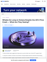 Solana Price Drops 40% — Why Whales Are Still Going Long