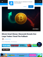 Bitcoin Smart Money: How Large Traders Timed The Pullback
