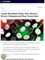 Crypto Bloodbath Today: Why Altcoins, Bitcoin Collapsed and What Comes Next