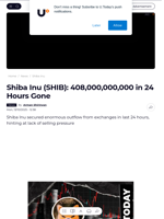 Shiba Inu (SHIB): 408,000,000,000 in 24 Hours Gone - U.Today