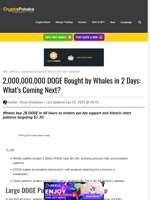 2,000,000,000 DOGE Bought by Whales in 2 Days: What’s Coming Next?