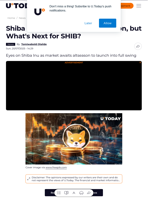 Shiba Inu Team Preps for Altseason, but What's Next for SHIB?