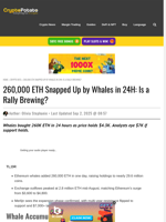 260,000 ETH Snapped Up by Whales in 24H: Is a Rally Brewing?