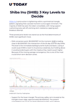 Shiba Inu (SHIB): 3 Key Levels to Decide - U.Today