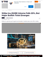 Shiba Inu (SHIB) Volume Falls 20%, But Major Bullish Twist Emerges