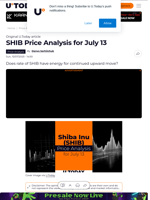 SHIB Price Analysis for July 13