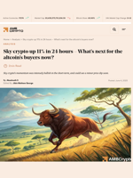 Sky crypto up 11% in 24 hours - What's next for the altcoin's buyers now? - AMBCrypto