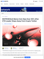 Why WHITE WHALE Meme Coin Dropped Over 55% Today?