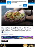Bitcoin Whales Hedge Their Bets As Short Interest In BTC Spikes - What Does This Mean For Price? | Bitcoinist.com