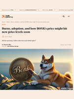 Burns, adoption, and how BONK's price might hit new price levels soon - AMBCrypto