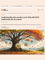 Analyzing Bitcoin’s market cycle: Why fall 2025 could mark the next peak - AMBCrypto