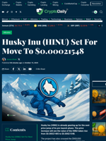 Husky Inu (HINU) Set For Move To $0.00021548 - Crypto Daily