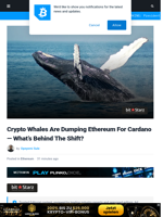 Crypto Whales Are Dumping Ethereum For Cardano — What’s Behind The Shift? | Bitcoinist.com