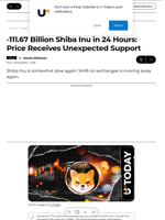 -111.67 Billion Shiba Inu in 24 Hours: Price Receives Unexpected Support - U.Today