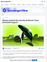 Bitcoin Whales Move Again, What Are They Seeing That We Don’t?