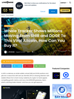 Whale Tracker Shows Millions Moving From SHIB and DOGE To This Viral Altcoin, How Can You Buy It? | Live Bitcoin News