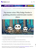 Top meme coins: Why Pudgy Pandas is grabbing attention amid broader market jitters - CoinJournal