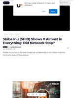 Shiba Inu (SHIB) Shows 0 Almost in Everything: Did Network Stop? - U.Today