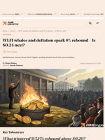WLFI whales and deflation spark 8% rebound - Is $0.24 next? - AMBCrypto