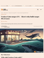 Useless Coin surges 13% - Here’s why bulls target $0.24 next - AMBCrypto