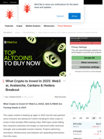What Crypto to Invest In 2025: Web3 ai, Avalanche, Cardano & Hedera Breakout - NullTX