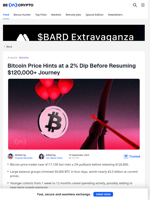 Bitcoin Price Dip Ahead? Why $120,000 May Not Come So Easily