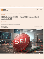 SEI bulls target $0.50 - First, THIS support level needs to hold - AMBCrypto