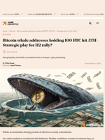 Bitcoin whale addresses holding 100 BTC hit ATH - Strategic play for H2 rally? - AMBCrypto