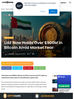 UAE Bitcoin Holdings Top $900M Amid Market Fear