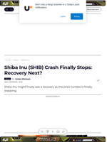 Shiba Inu (SHIB) Crash Finally Stops: Recovery Next? - U.Today