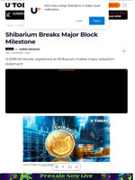 Shibarium Breaks Major Block Milestone