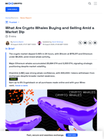 Crypto Whales Buy the Dip: Top Coins Big Investors Are Backing
