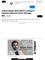 Adam Back Sees Silver Lining in Massive Bitcoin Price Plunge - U.Today